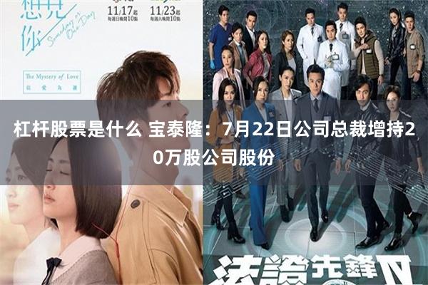 杠杆股票是什么 宝泰隆：7月22日公司总裁增持20万股公司股份