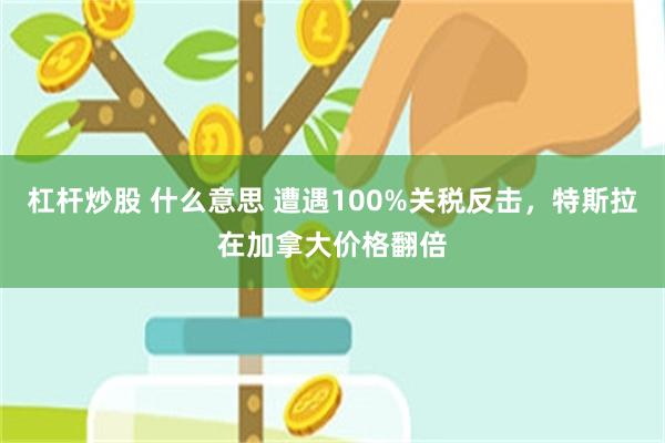 杠杆炒股 什么意思 遭遇100%关税反击，特斯拉在加拿大价格翻倍