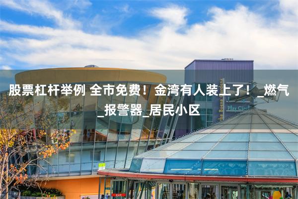 股票杠杆举例 全市免费！金湾有人装上了！_燃气_报警器_居民小区