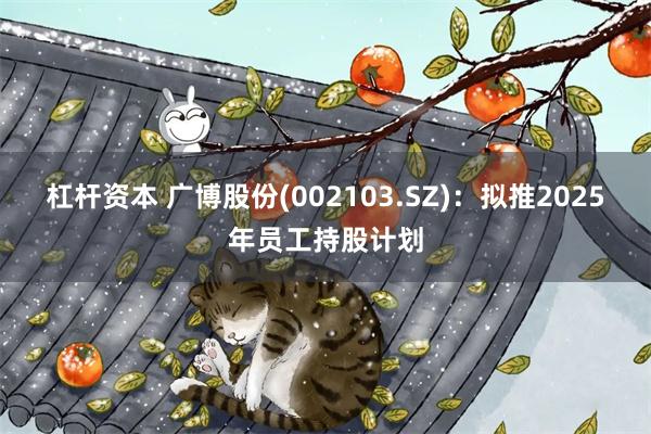 杠杆资本 广博股份(002103.SZ)：拟推2025年员工持股计划