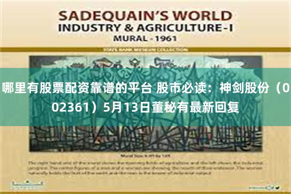哪里有股票配资靠谱的平台 股市必读：神剑股份（002361）5月13日董秘有最新回复