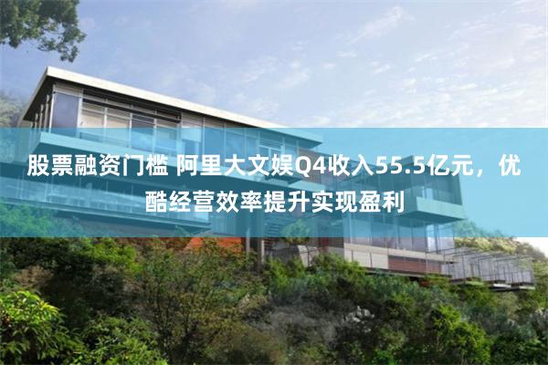 股票融资门槛 阿里大文娱Q4收入55.5亿元，优酷经营效率提升实现盈利