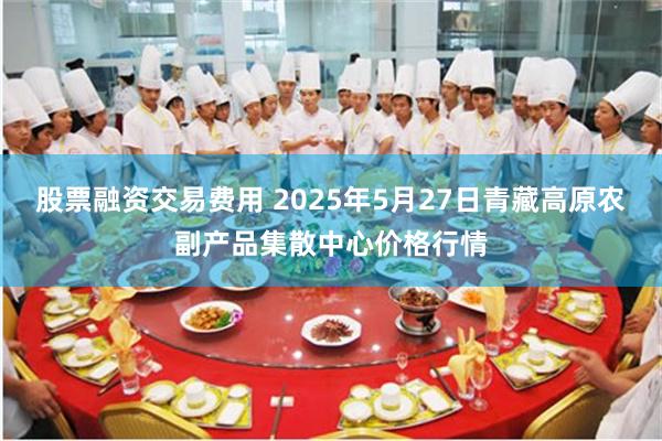 股票融资交易费用 2025年5月27日青藏高原农副产品集散中心价格行情