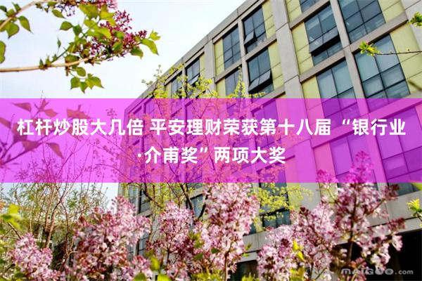 杠杆炒股大几倍 平安理财荣获第十八届 “银行业·介甫奖”两项大奖