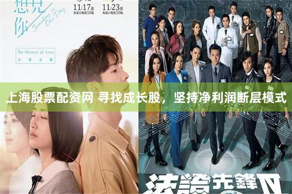 上海股票配资网 寻找成长股，坚持净利润断层模式
