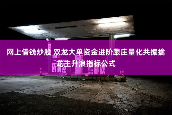 网上借钱炒股 双龙大单资金进阶跟庄量化共振擒龙主升浪指标公式