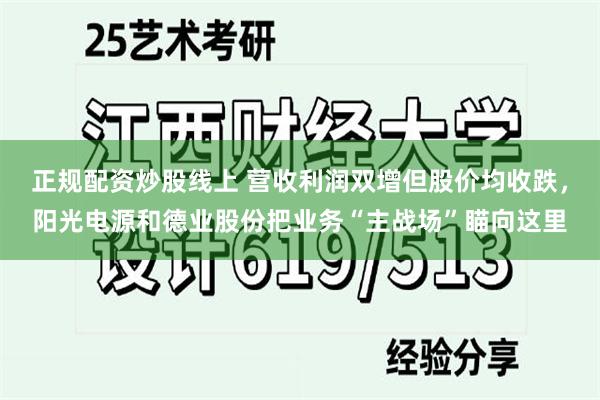 正规配资炒股线上 营收利润双增但股价均收跌，阳光电源和德业股份把业务“主战场”瞄向这里